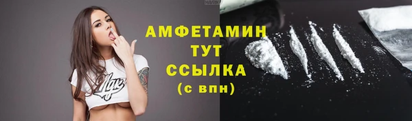 Альфа ПВП Горняк