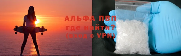 Альфа ПВП Горняк