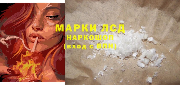 прущие грибы Гусь-Хрустальный