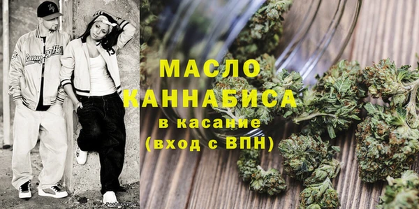 Альфа ПВП Горняк
