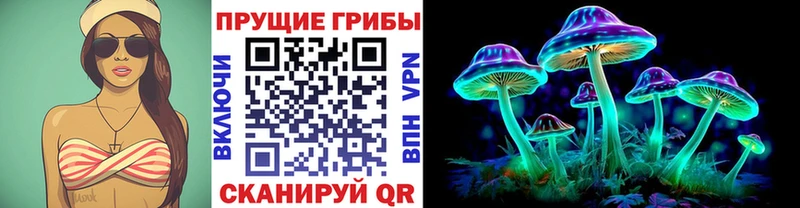 Галлюциногенные грибы Psilocybine cubensis  МЕГА зеркало  Фокино 